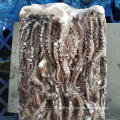 Giant squid entacle 10kg per block frozen with blue poly bag